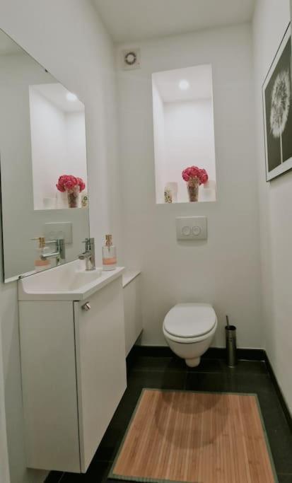 Le Cocon Du Midi - Appartement Cosy Brusel Exteriér fotografie
